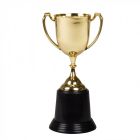 Gouden Trofee